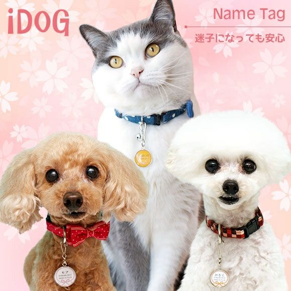 【 迷子札 犬 猫 】IDOG&ICAT ネームタグ 迷子札 花結び メール便OK