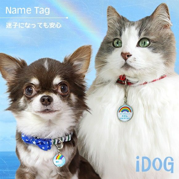 【 迷子札 犬 猫 】IDOG&ICAT ネームタグ 迷子札 レインボー メール便OK