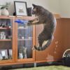 【 猫 おもちゃ 】iCat FLYING CAT 釣りざお猫じゃらし 付替用フライ メール便OK