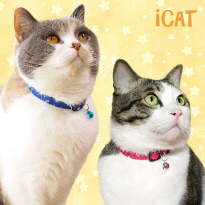 iDog＆iCat本店】iCat キティカラー ランダムスター-犬猫ペット