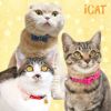 【 猫 首輪 安全 】iCat キティカラー ランダムスター×スターリボン メール便OK