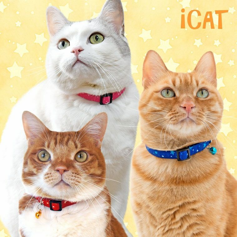 【 猫 首輪 安全 】iCat カジュアルカラー ランダムスター メール便OK