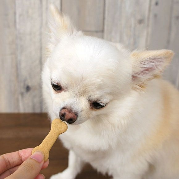 【 犬 おやつ 】キッチンドッグ Kitchen Dog all stars オールスターズ