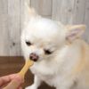 【 犬 おやつ 】キッチンドッグ Kitchen Dog all stars オールスターズ