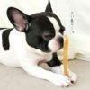 【 犬 おやつ 】イエティ ドッグチュウチーズ M メール便OK