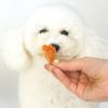 【 犬 おやつ 】どっとわん ドットわん ササミジャーキー 80g