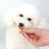 【 犬 おやつ 】どっとわん ドットわん ササミジャーキー 80g