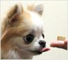 【 犬 猫 サプリメント 】アドメイト ADD.MATE サプリトリーツ軟骨&グルコサミン配合30g