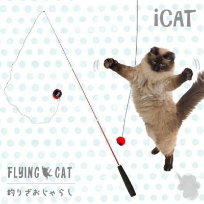 【 猫 おもちゃ 】iCat FLYING CAT 釣りざお猫じゃらし てんとう虫ボール