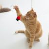 【 猫 おもちゃ 】iCat FLYING CAT 釣りざお猫じゃらし てんとう虫ボール