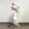 【 猫 おもちゃ 】iCat FLYING CAT 釣りざお猫じゃらし てんとう虫ボール