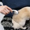 【 犬猫 ブラシ 】IDOG&ICAT Groomieグルーミー 抜け毛スッキリ アンダーコートケアブラシ