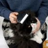 【 犬猫 ブラシ 】IDOG&ICAT Groomieグルーミー 抜け毛スッキリ アンダーコートケアブラシ