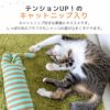 キャットニップ入りテンションUP