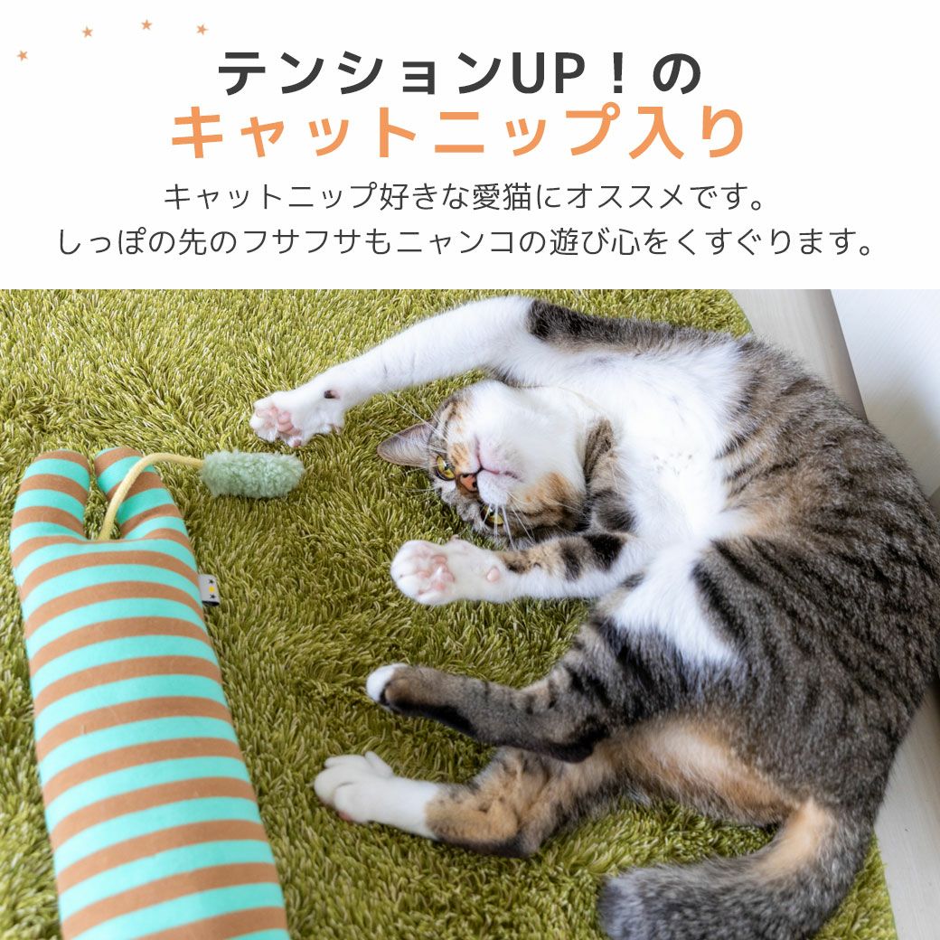 キャットニップ入りテンションUP