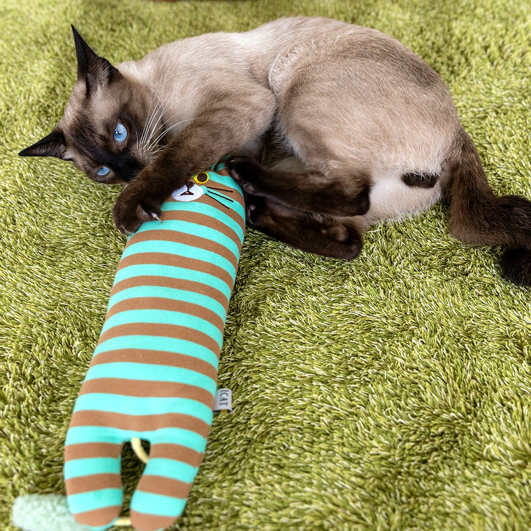 阿生ちゃんは夢中でらいむくんをケリケリ