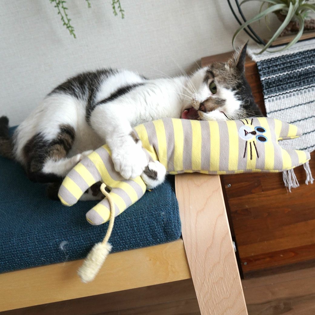 5.5kgノズくんはれもんくんを放しません。