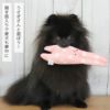 iDogfleurうさたん鳴き笛入りアイドッグ