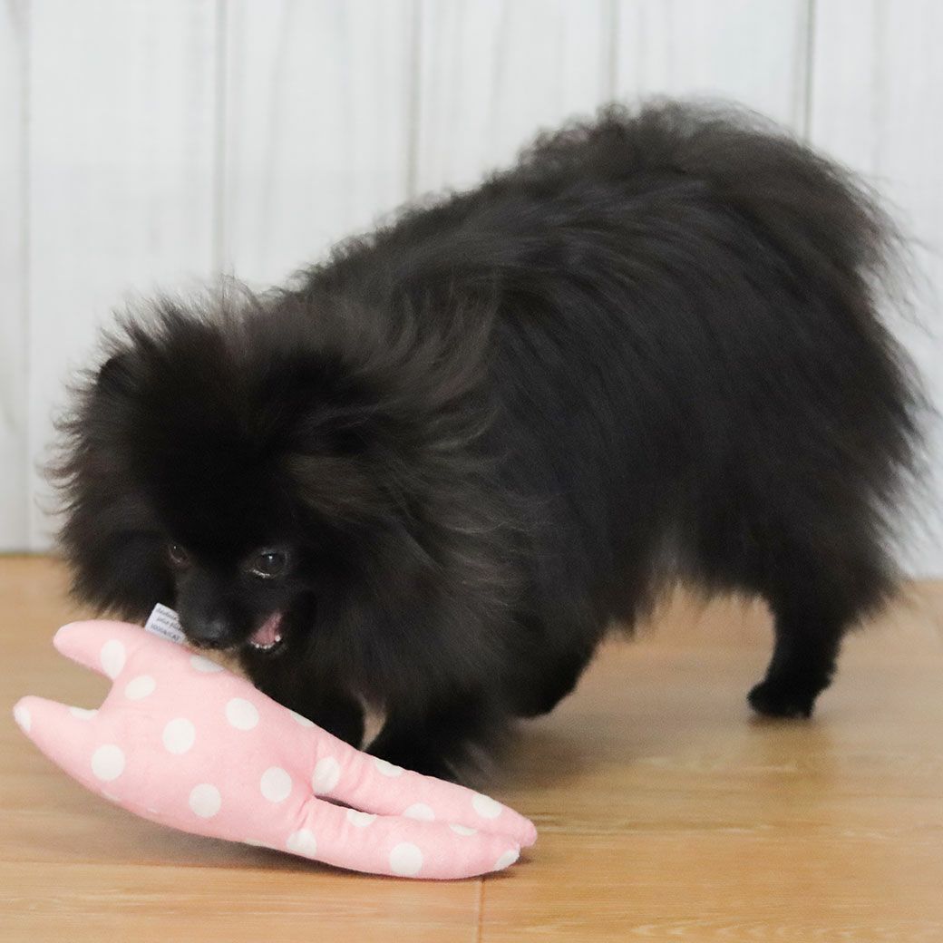 鳴き笛入りのウサギの形をした犬用ぬいぐるみおもちゃ
