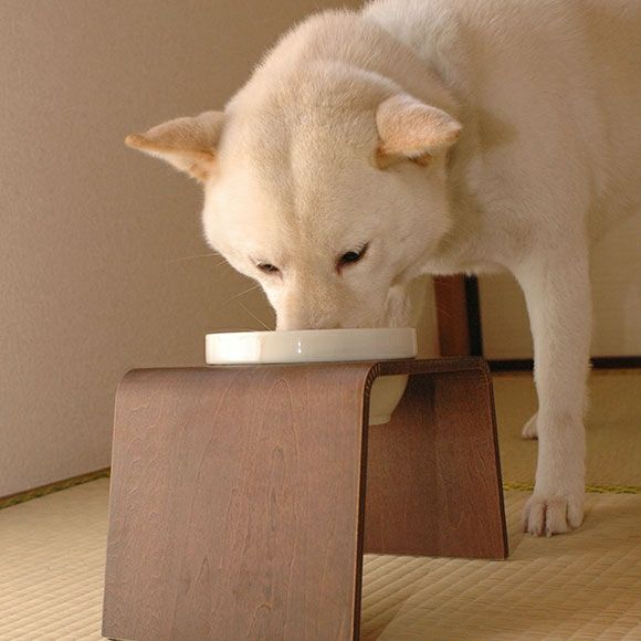 愛猫ちゃん、愛犬ちゃんに高級素材、檜の贅沢な食事台はいかがでしょうか？　日本製 Amazon.co.jp: 【FSC認証製品】良木工房(YOSHIKI) 愛犬・愛猫の