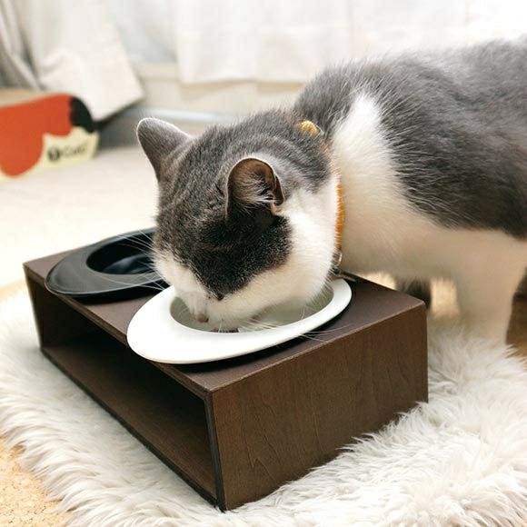 【 犬 フードボウル 】iDog Living Keat キートスクエア2 Sサイズ フードボウル別売