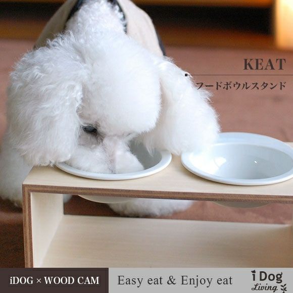 【 犬 猫 食器台 】iDog Living Keat キートスクエア2 Lサイズ フードボウル別売
