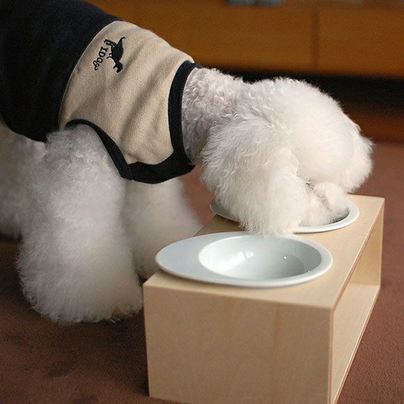 【 犬 猫 食器台 】iDog Living Keat キートスクエア2 Lサイズ フードボウル別売