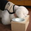 【 犬 猫 食器台 】iDog Living Keat キートスクエア2 Lサイズ フードボウル別売