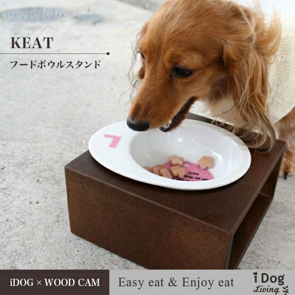 【 犬 フードボウル 】iDog Living Keat キートスクエア1 Sサイズ フードボウル別売