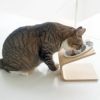【 犬用 食器台 】iDog Living Keat キート Lサイズ フードボウル別売