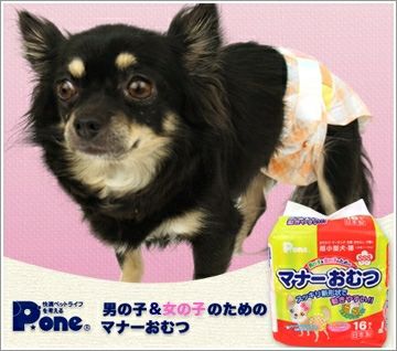Idog Icat本店 第一衛材 男の子 女の子のためのマナーおむつ 犬猫ペット用品通販のid Idog Icat本店 第一衛材 男の子 女の子のためのマナーおむつ 犬猫ペット用品通販のid