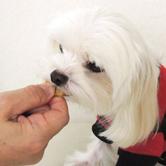 【 犬 おやつ 国産 】HAVIT ハビット おいもチキンチップス