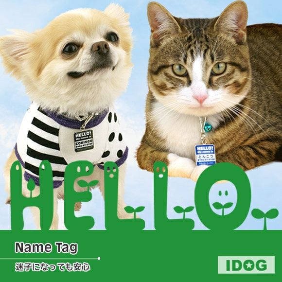 【 迷子札 犬 猫 】IDOG&ICAT オリジナルネームタグ 迷子札 角丸 ハロー メール便OK