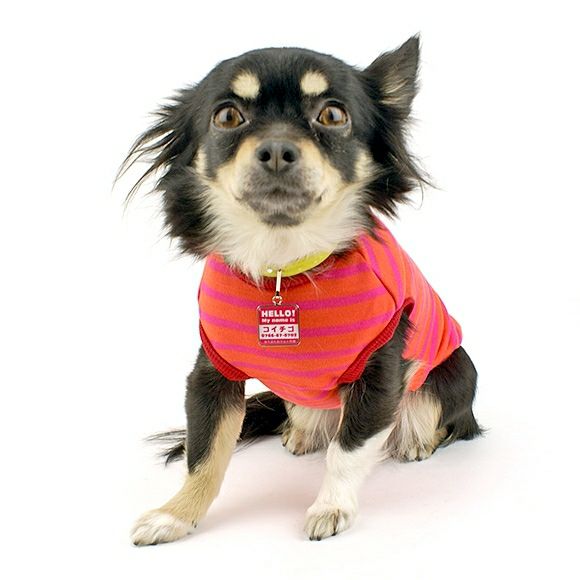 【 迷子札 犬 猫 】IDOG&ICAT オリジナルネームタグ 迷子札 角丸 ハロー メール便OK