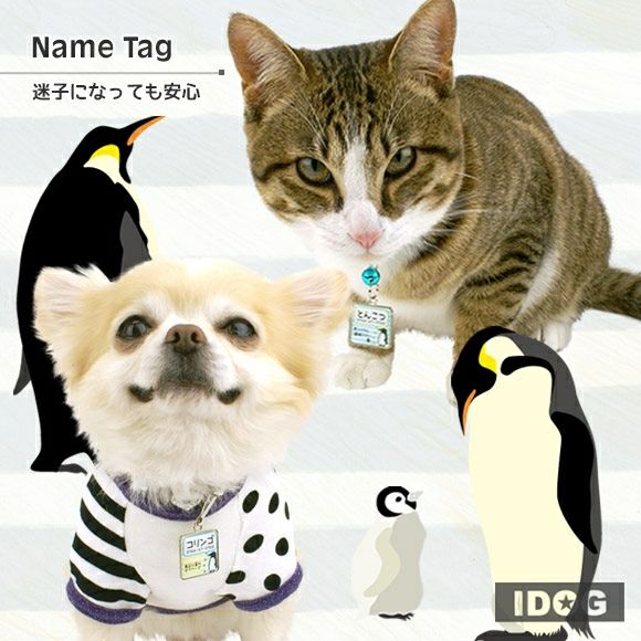 【 迷子札 犬 猫 】IDOG&ICAT オリジナルネームタグ 迷子札 角丸 ペンギンボーダー メール便OK