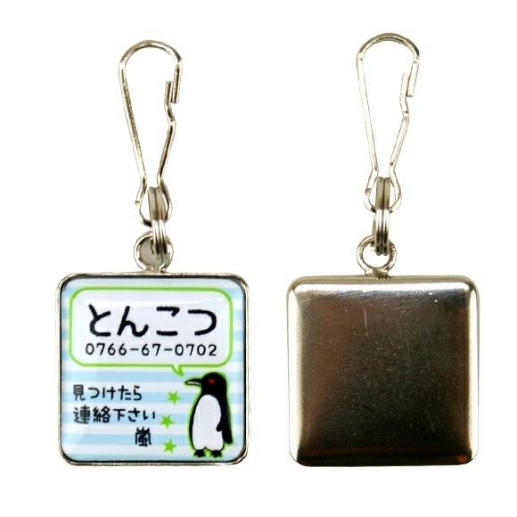 【 迷子札 犬 猫 】IDOG&ICAT オリジナルネームタグ 迷子札 角丸 ペンギンボーダー メール便OK