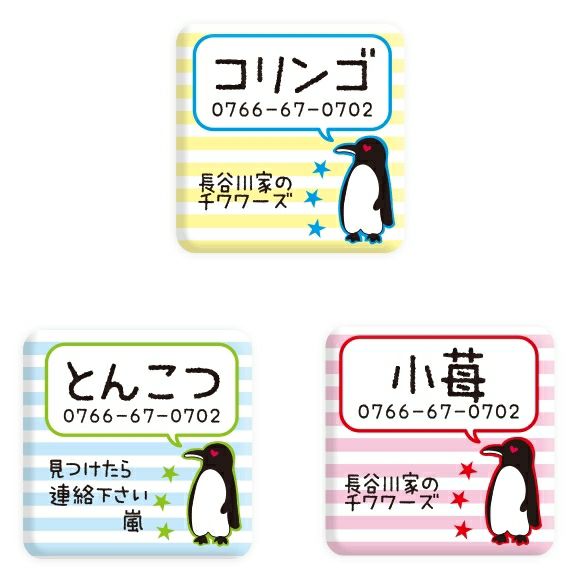 【 迷子札 犬 猫 】IDOG&ICAT オリジナルネームタグ 迷子札 角丸 ペンギンボーダー メール便OK