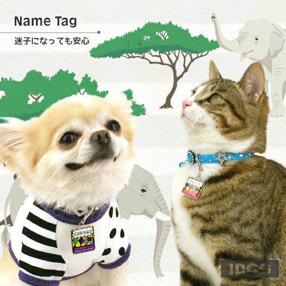 【 迷子札 犬 猫 】IDOG&ICAT オリジナルネームタグ 迷子札 角丸 インド象 メール便OK