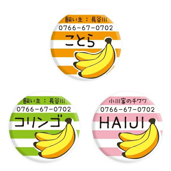 【 迷子札 犬 猫 】IDOG&ICAT オリジナルネームタグ 迷子札 バナナボーダー メール便OK