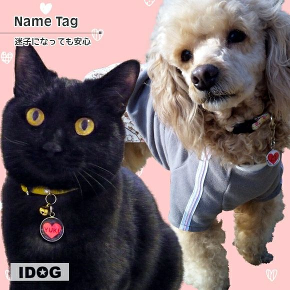 【 迷子札 犬 猫 】IDOG&ICAT オリジナルネームタグ 迷子札 ハート メール便OK
