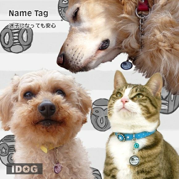 【 迷子札 犬 猫 】IDOG&ICAT オリジナルネームタグ 迷子札 海賊ボーダー メール便OK