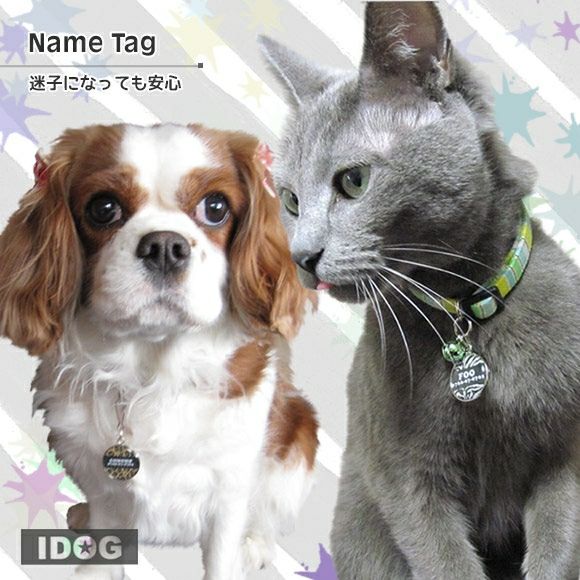 【 迷子札 犬 猫 】IDOG&ICAT オリジナルネームタグ 迷子札 ANIMAL メール便OK