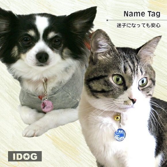 【 迷子札 犬 猫 】IDOG&ICAT オリジナルネームタグ 迷子札 和 メール便OK
