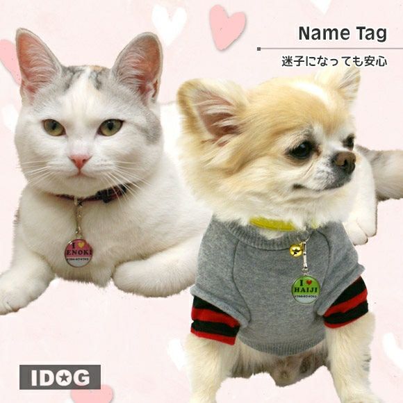 【 迷子札 犬 猫 】IDOG&ICAT オリジナルネームタグ 迷子札 アイラブ メール便OK