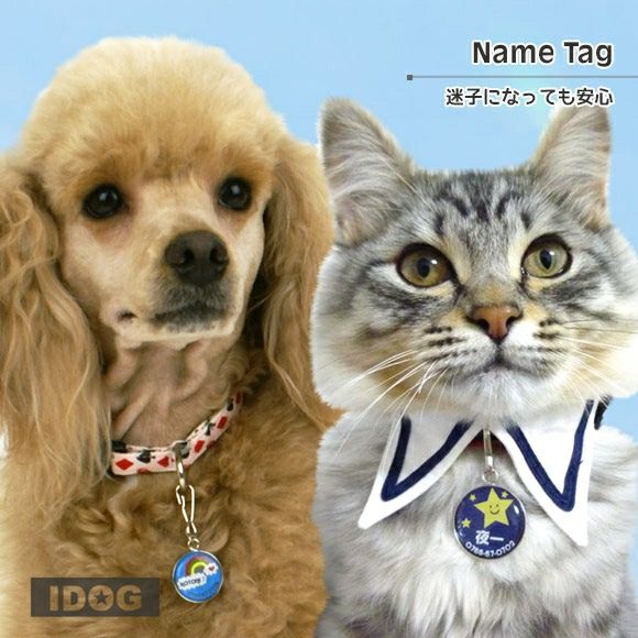 iDog＆iCat本店】iDog&iCat オリジナルネームタグ 迷子札 スカイ-犬猫