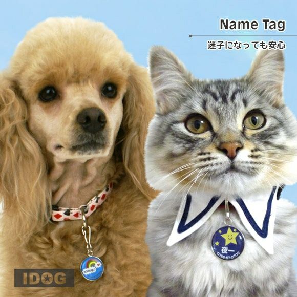 【 迷子札 犬 猫 】IDOG&ICAT オリジナルネームタグ 迷子札 スカイ メール便OK