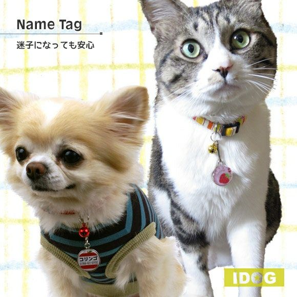 【 迷子札 犬 猫 】IDOG&ICAT オリジナルネームタグ 迷子札 フルーツ メール便OK