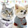 【 迷子札 犬 猫 】IDOG&ICAT オリジナルネームタグ 迷子札 ドクロ メール便OK