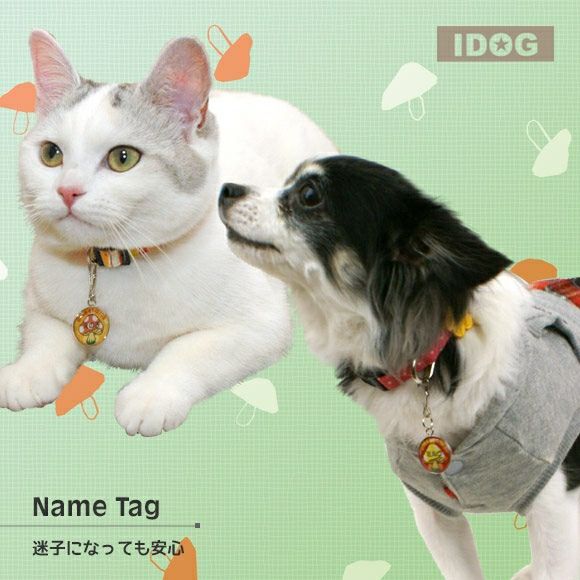 【 迷子札 犬 猫 】IDOG&ICAT オリジナルネームタグ 迷子札 きのこ メール便OK