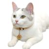 【 迷子札 犬 猫 】IDOG&ICAT オリジナルネームタグ 迷子札 きのこ メール便OK